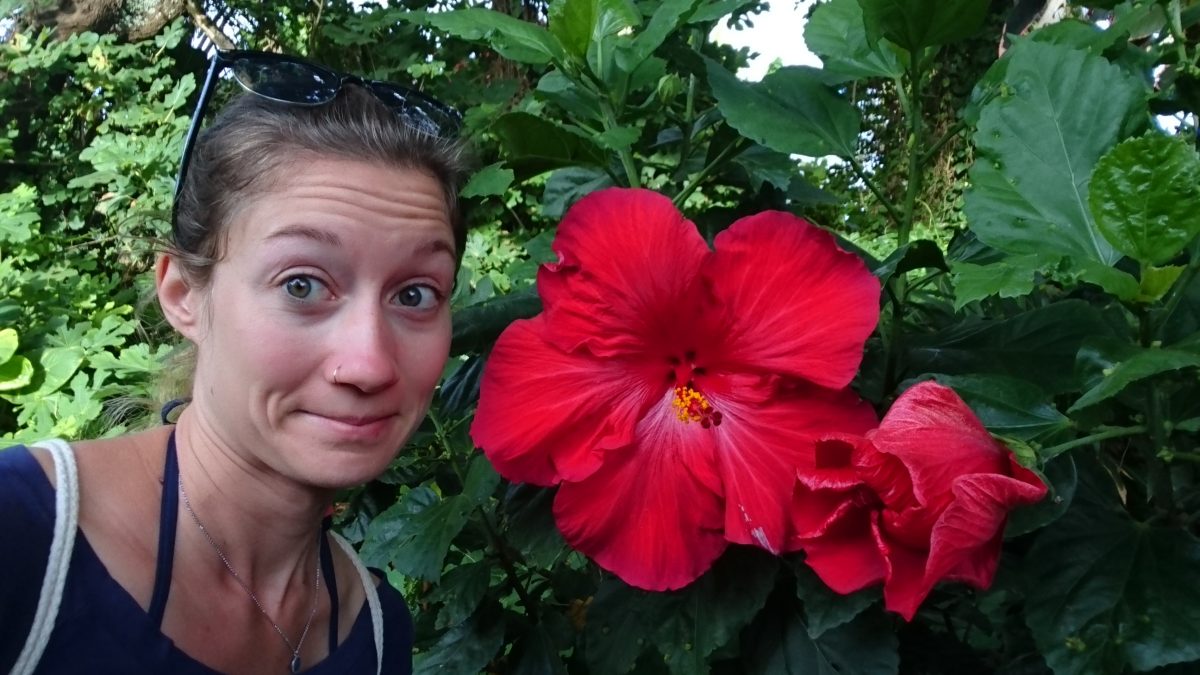 Tante Berta gegen den Rest der Welt